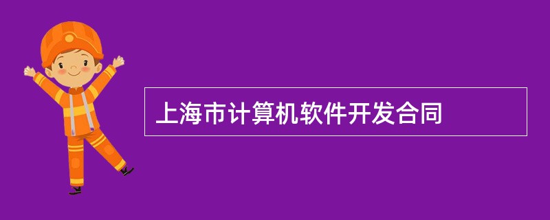 上海市计算机软件开发合同