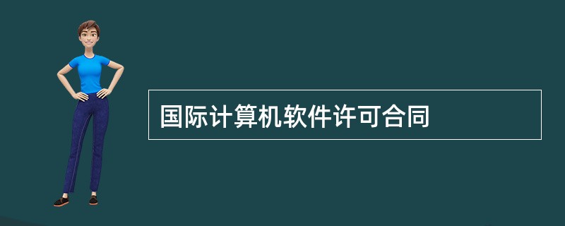 国际计算机软件许可合同