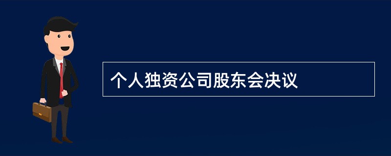 个人独资公司股东会决议