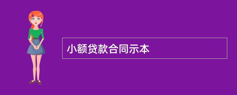 小额贷款合同示本