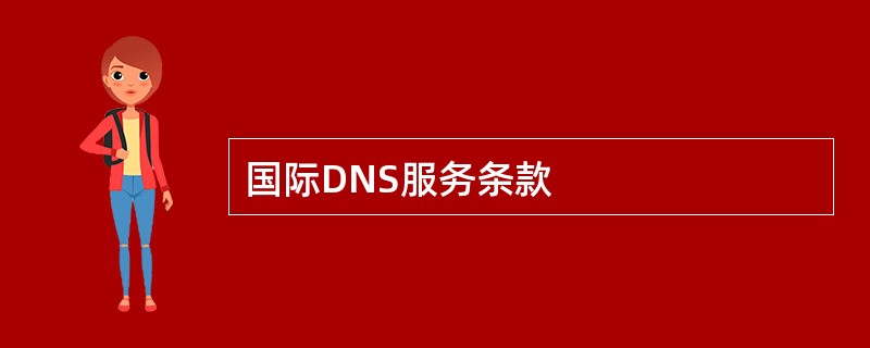 国际DNS服务条款