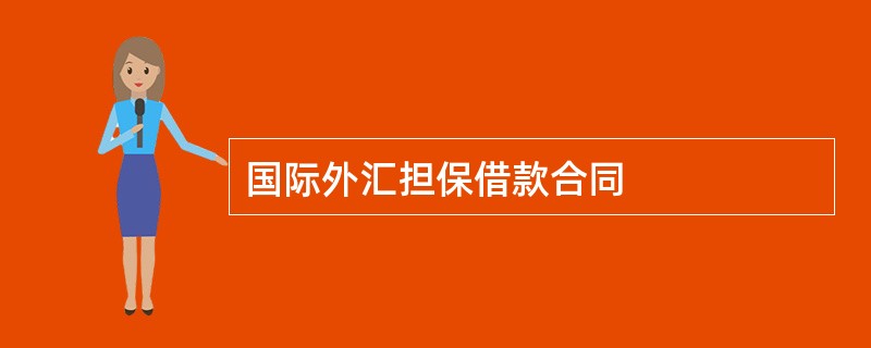 国际外汇担保借款合同