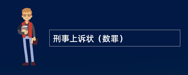 刑事上诉状（数罪）