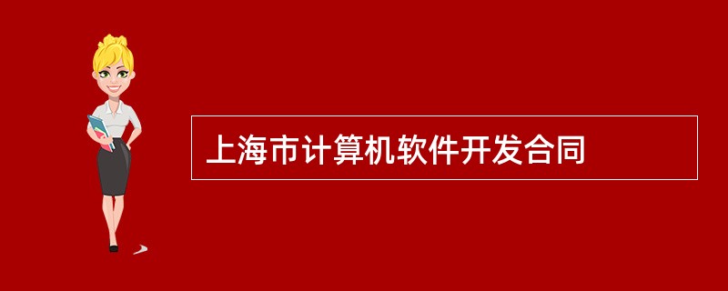 上海市计算机软件开发合同