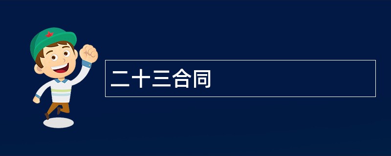 二十三合同范本模板