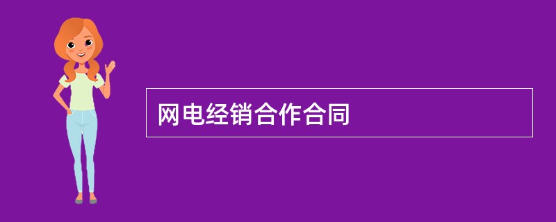 网电经销合作合同