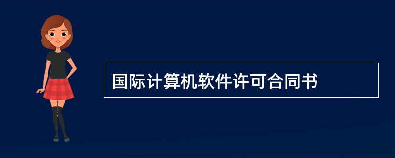 国际计算机软件许可合同书