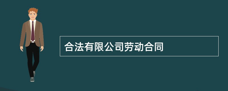 合法有限公司劳动合同