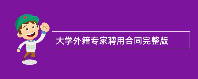 大学外籍专家聘用合同完整版