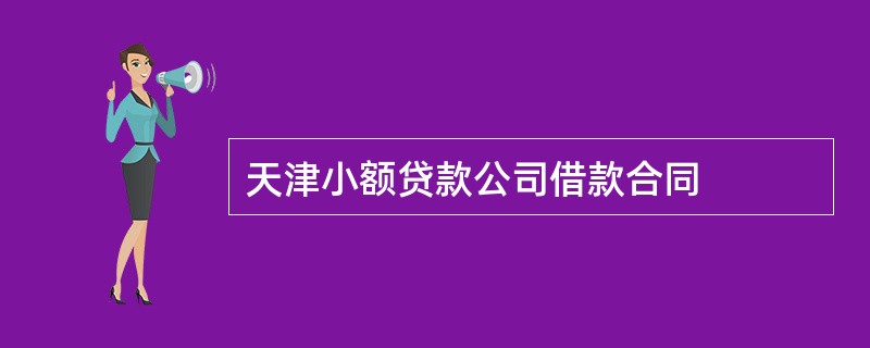 天津小额贷款公司借款合同