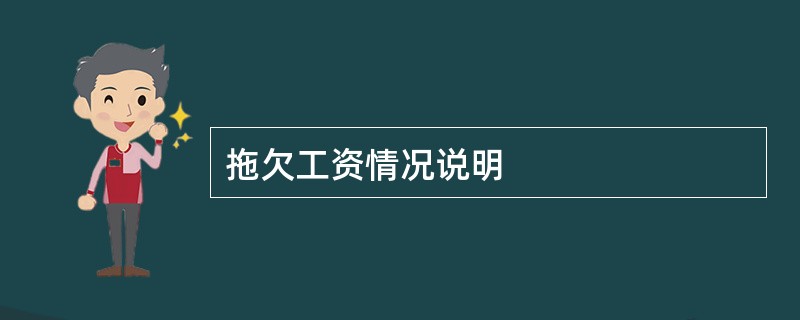 拖欠工资情况说明