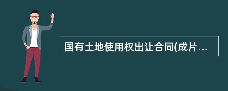 国有土地使用权出让合同(成片出让)3