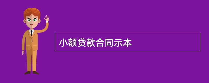 小额贷款合同示本