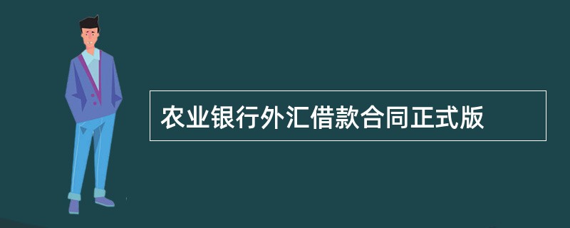 农业银行外汇借款合同正式版