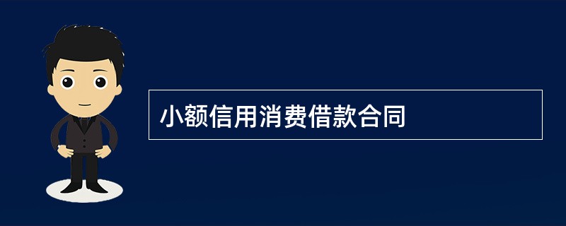 小额信用消费借款合同