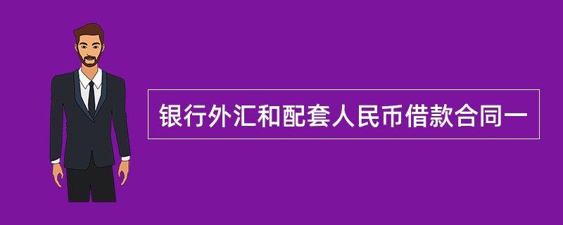 银行外汇和配套人民币借款合同一