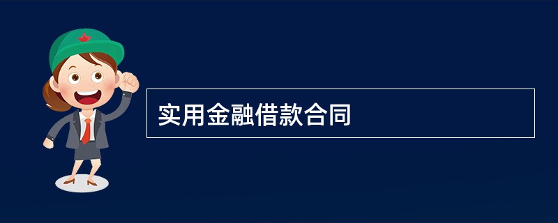 实用金融借款合同