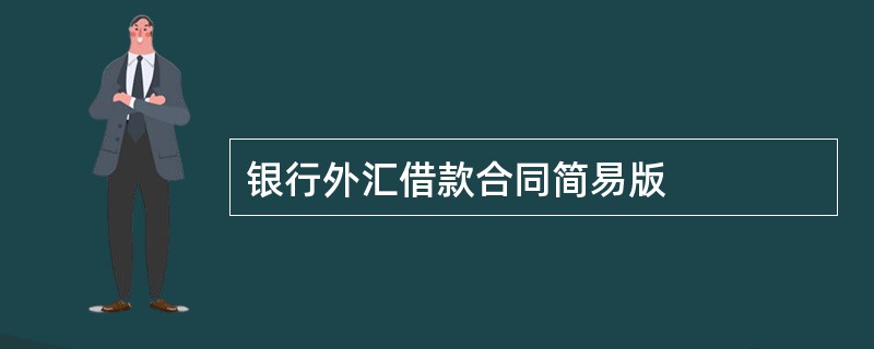 银行外汇借款合同简易版