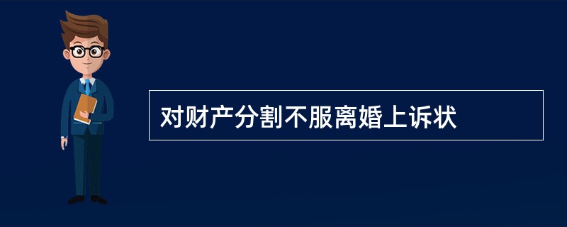 对财产分割不服离婚上诉状