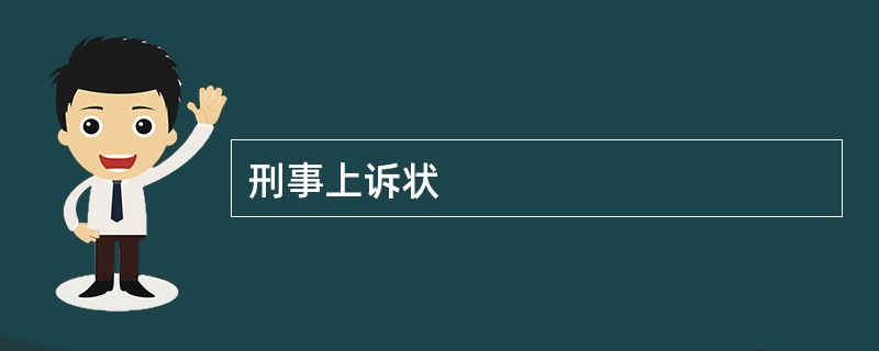 刑事上诉状