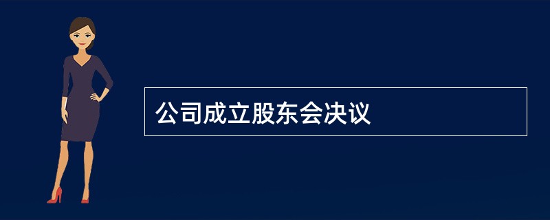 公司成立股东会决议